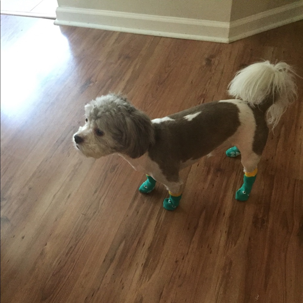 Meet your Posher, Tuwanis